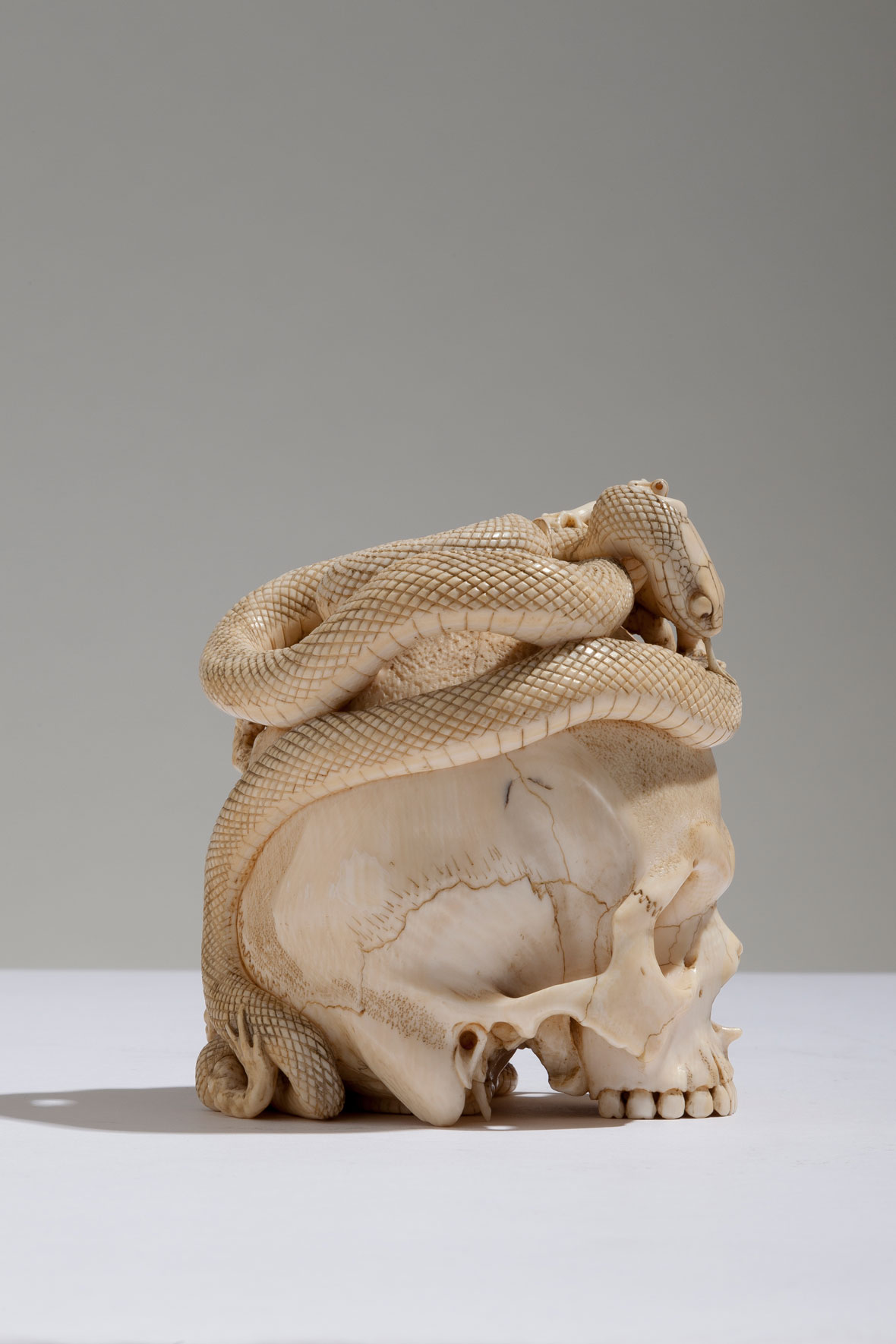 Japanese Ivory Skull with Coiled Snake and Toads